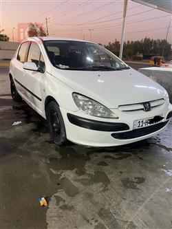 بیجۆ 307